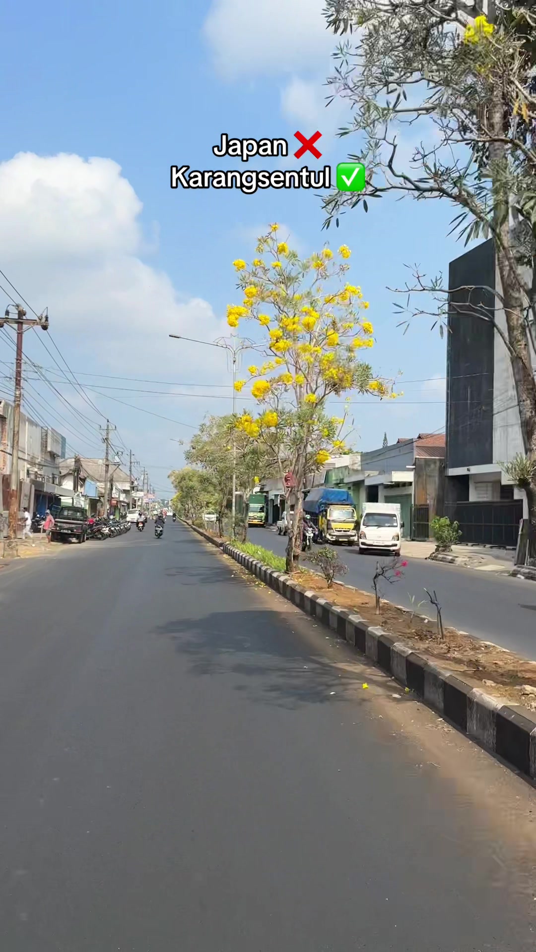 @Purbalingga