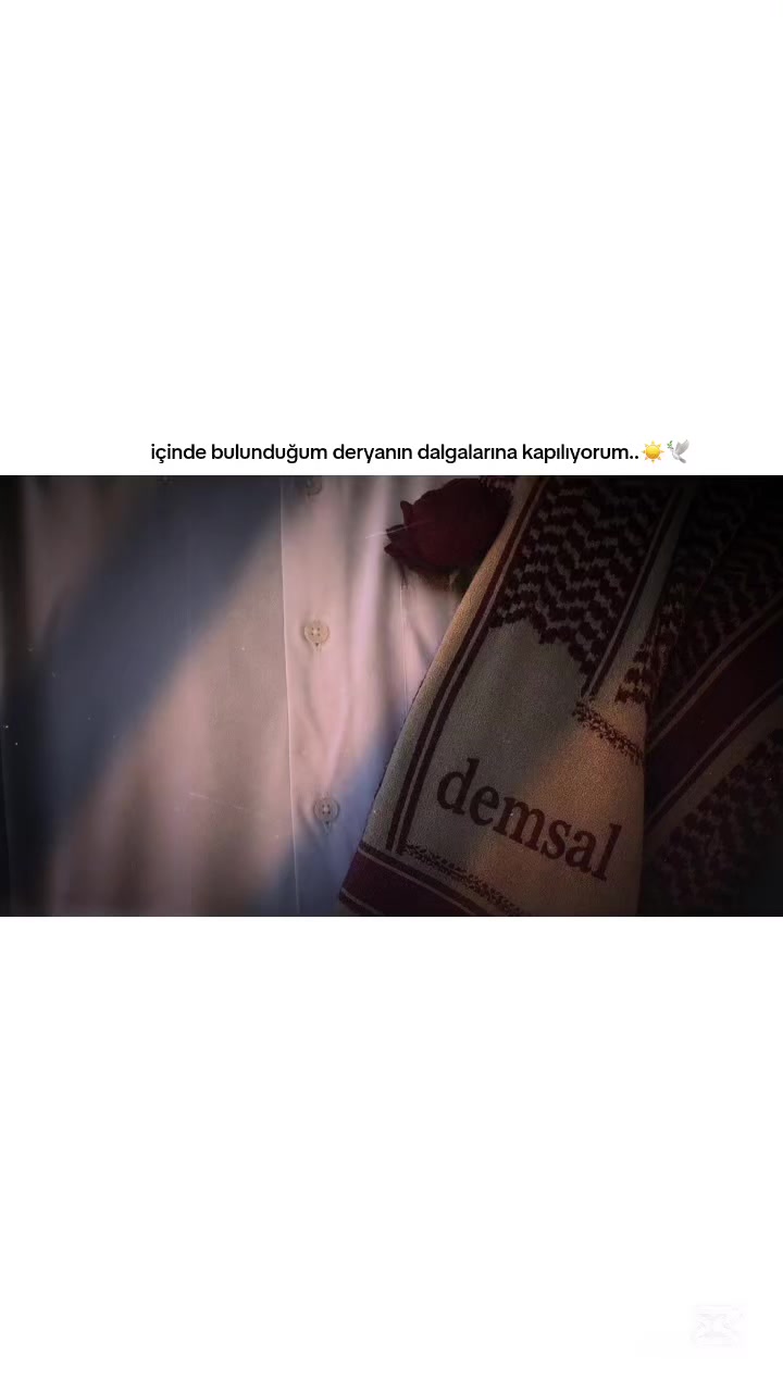 @._.Demsal._.