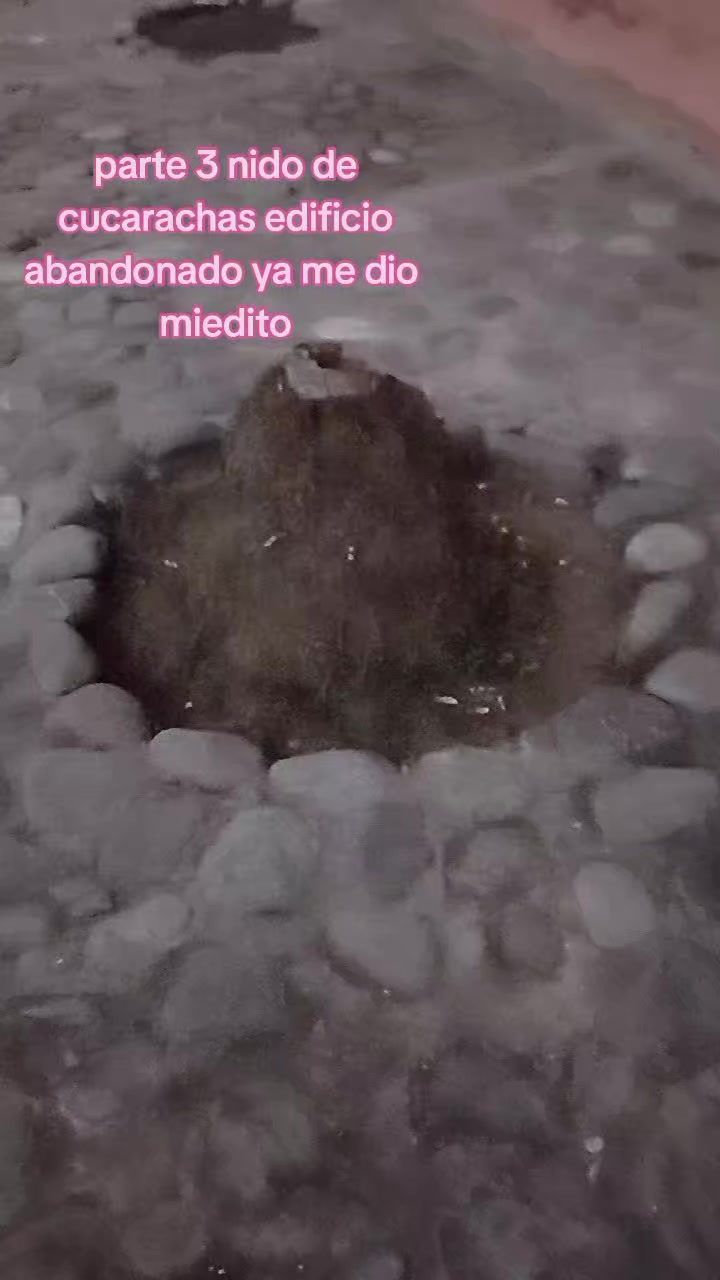 @tú_michi_1