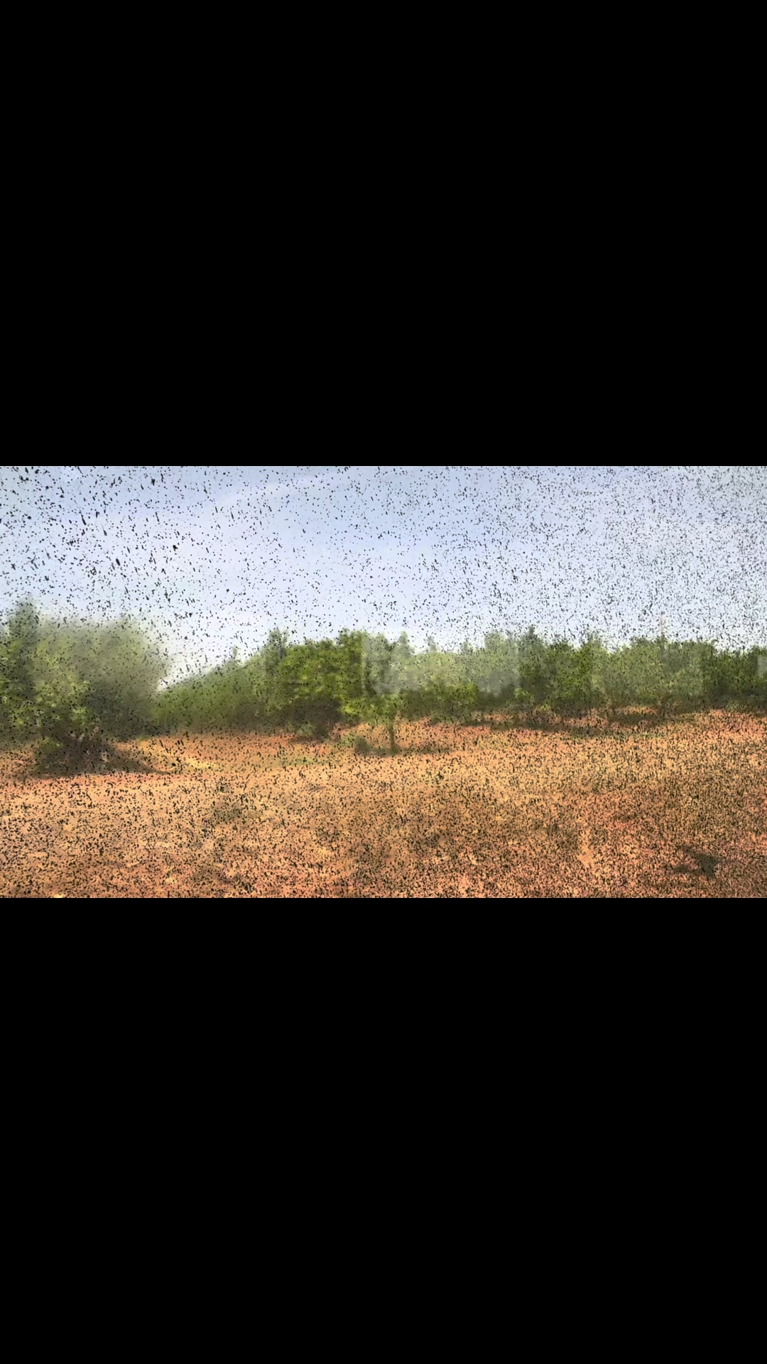 @StaysDays ☘︎
