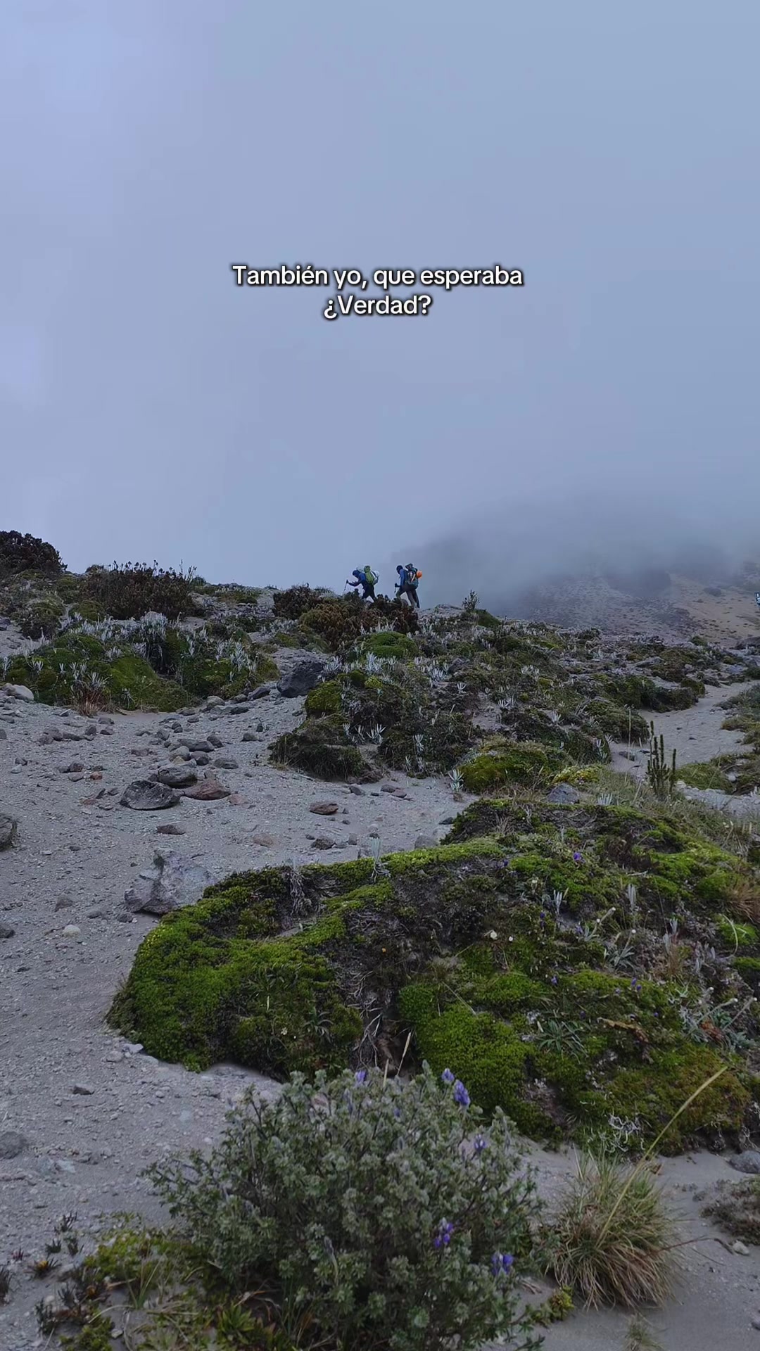 @INTIKO SUMMIT