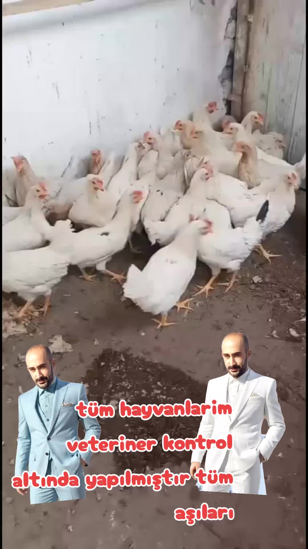 @nefretimsin d&uuml;nya