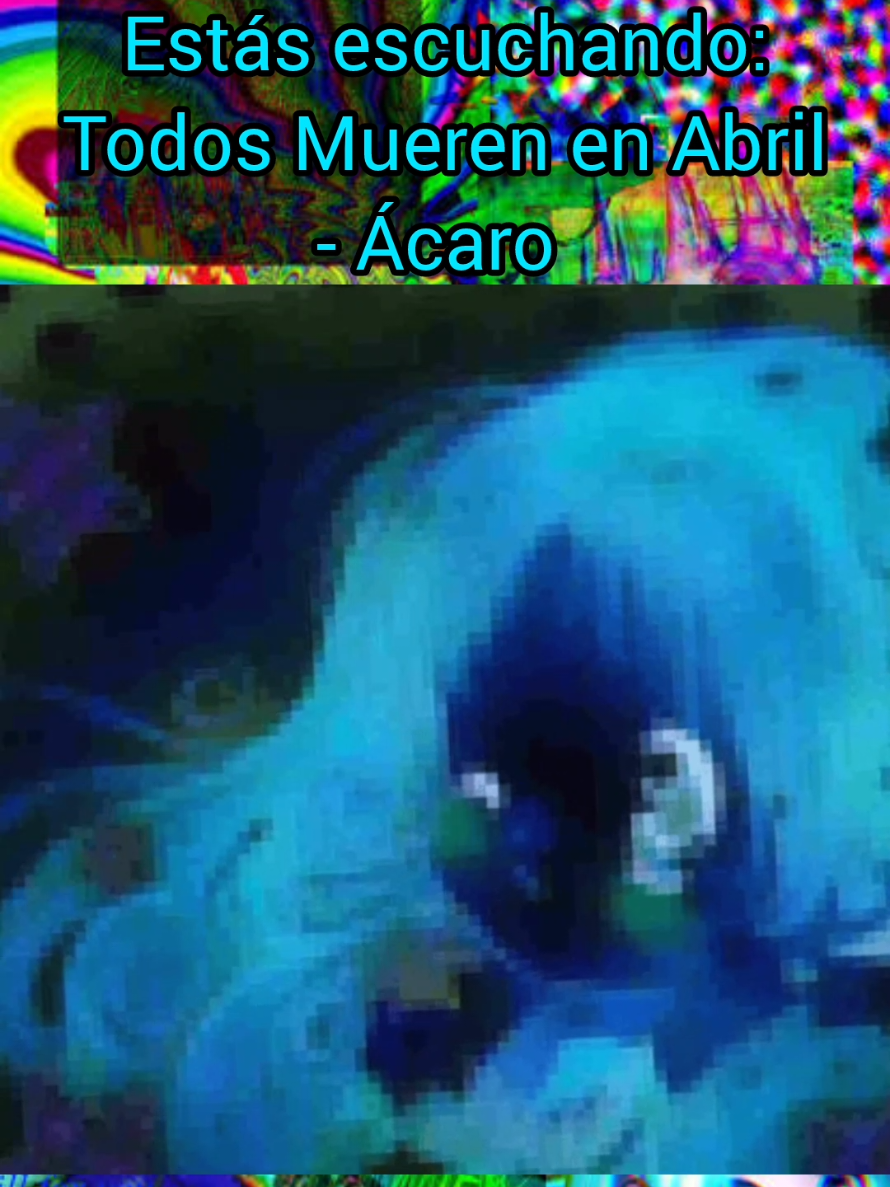 @𝙳𝚘𝚛𝚌𝚘
