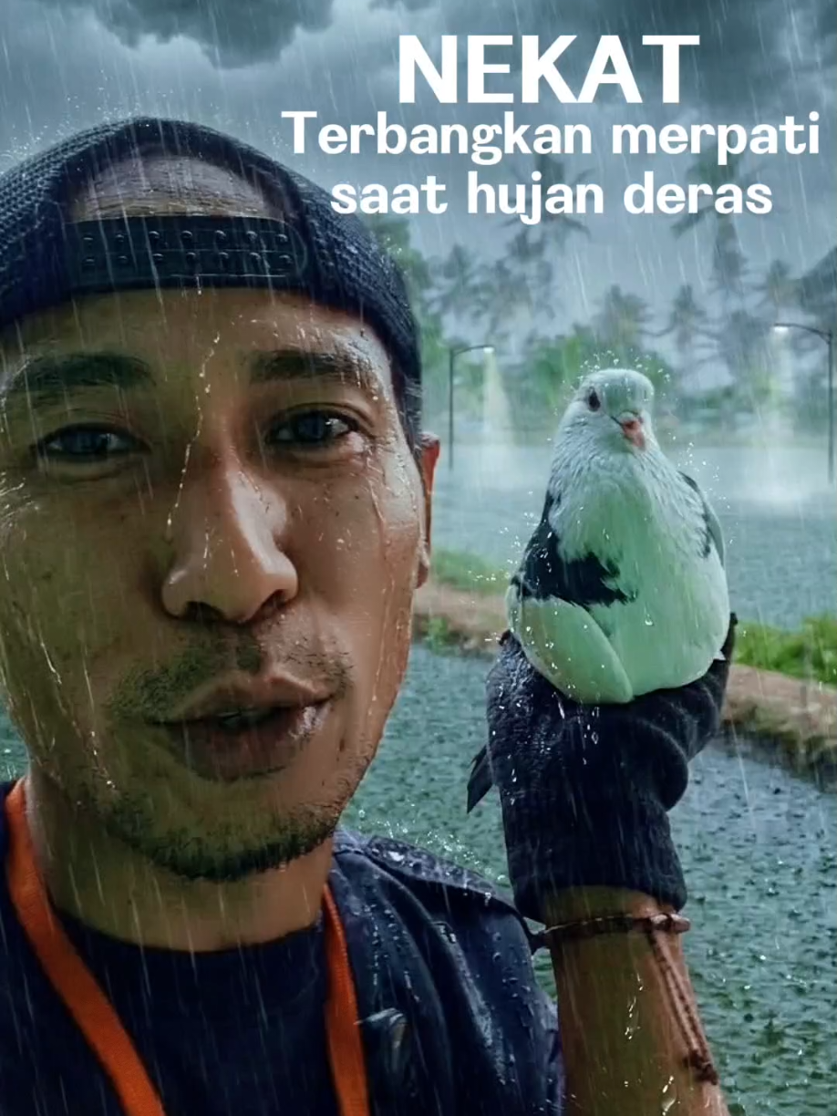 @BANG LEYON