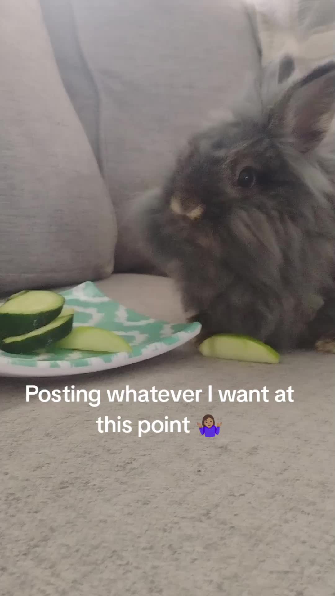 @NaturewithVee✨
