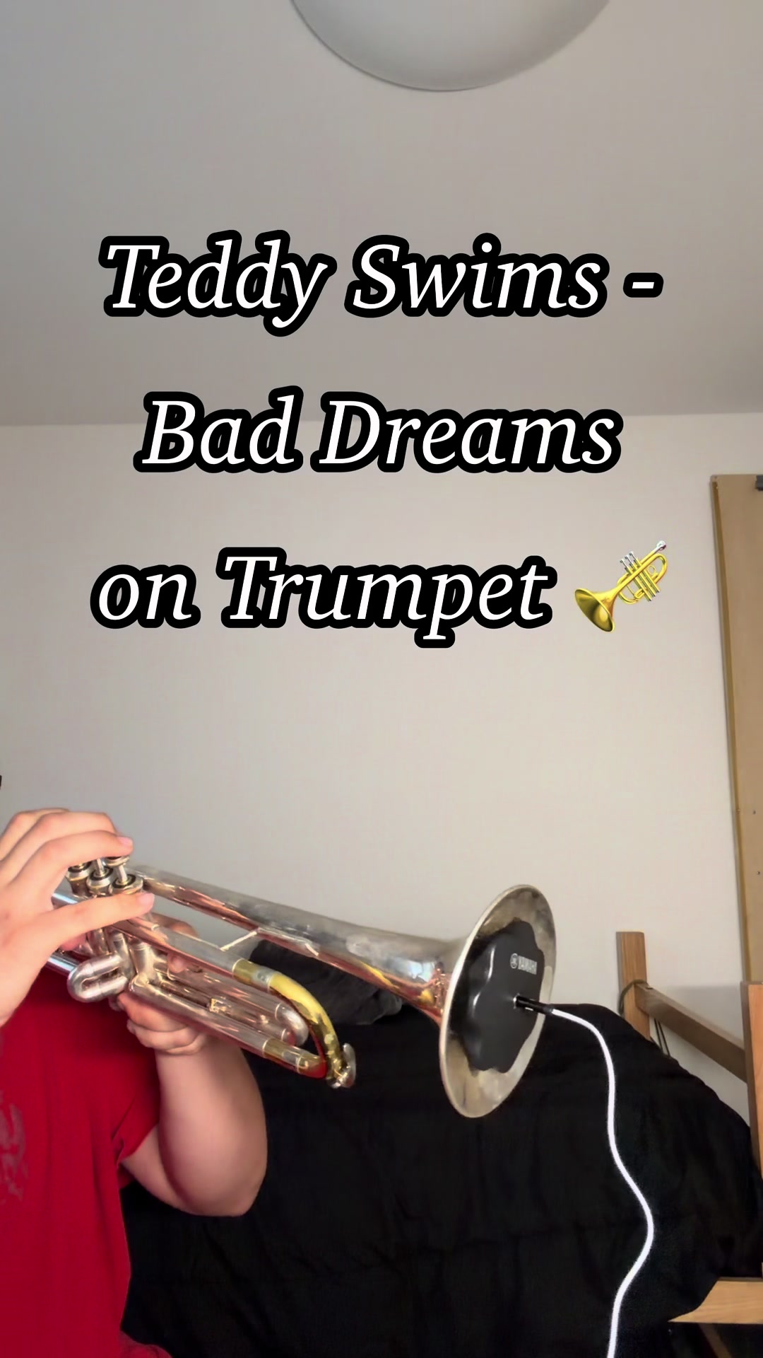 @mexicantrumpetboy