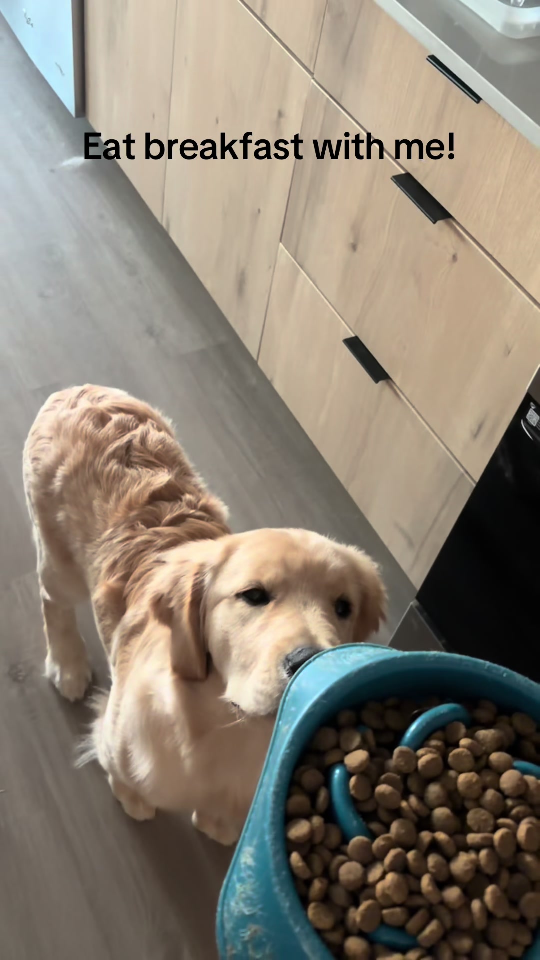 @Luca the Golden