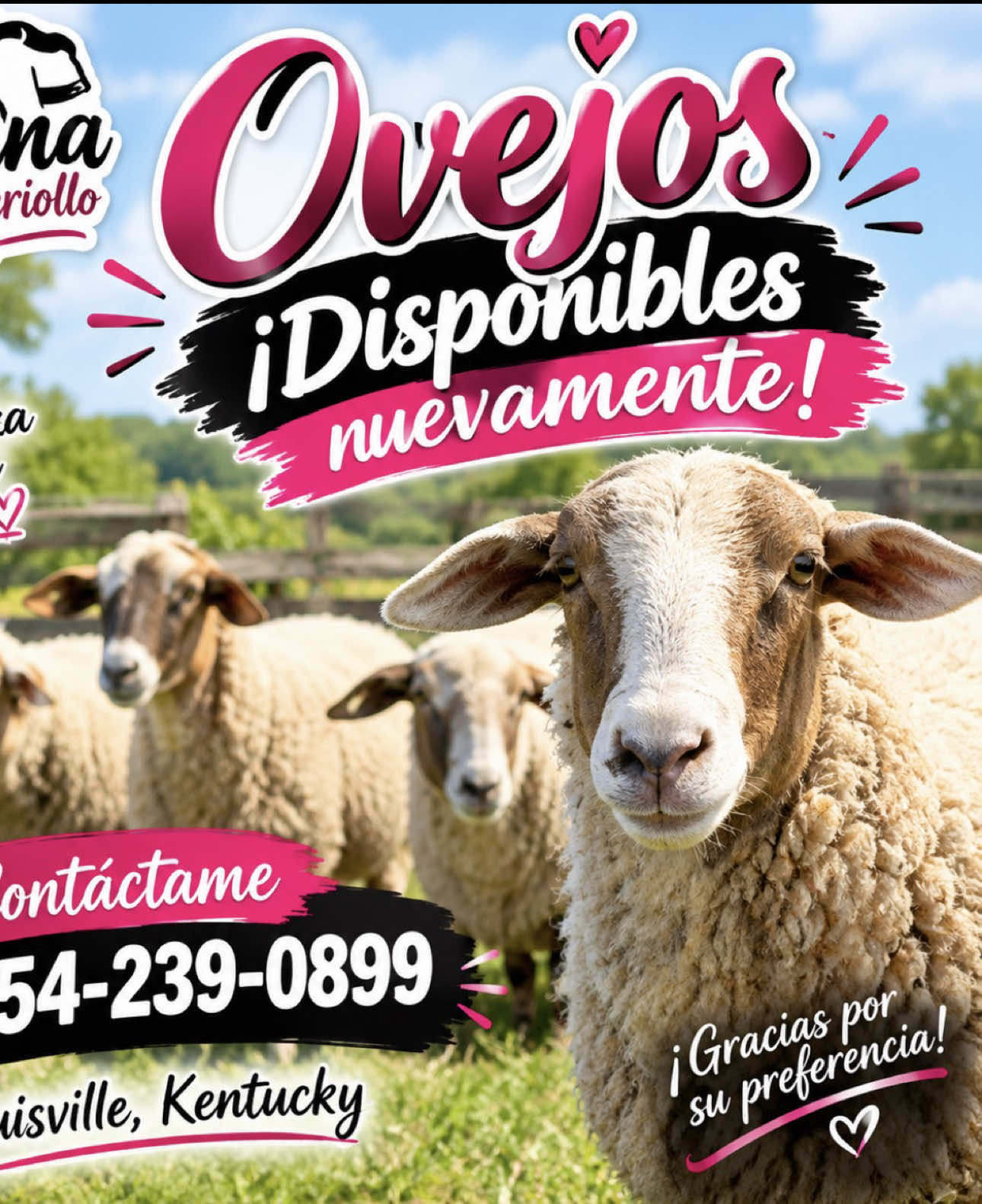 @cubanaporsiempreventas1
