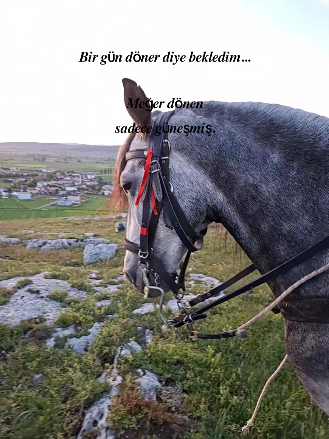 @Yusuf Ünal