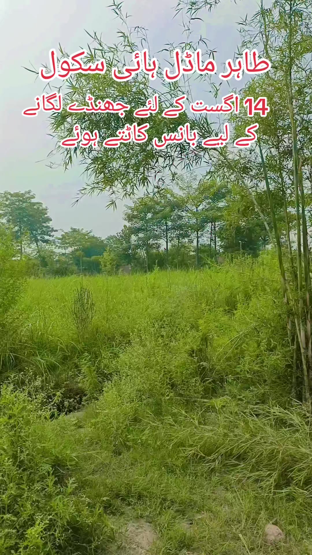 @Muhammad Rizwan
