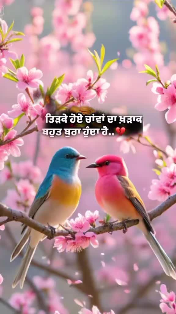 @Nagra  PB 06