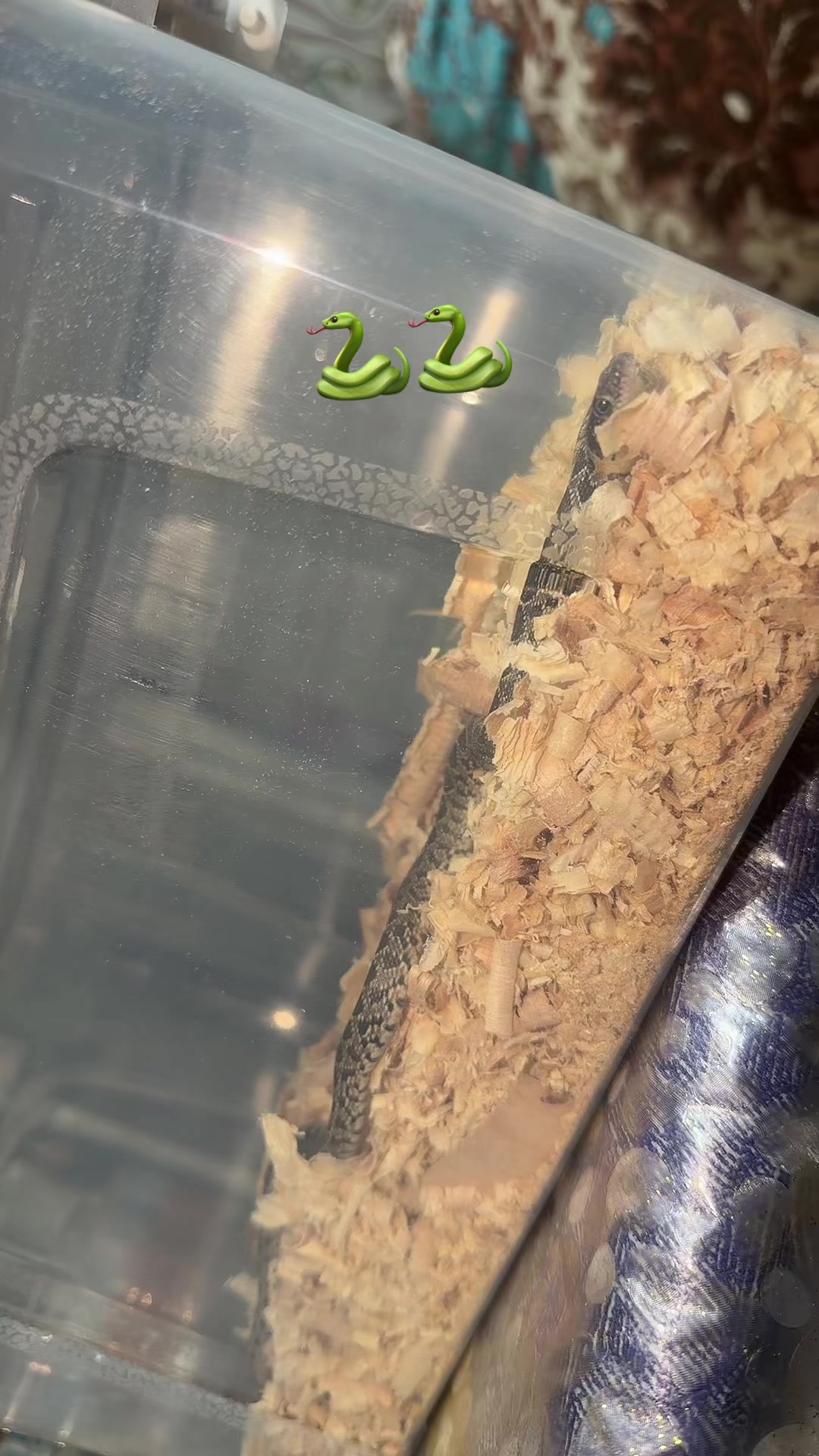 @💎👑 البرنسيسة 👑💎