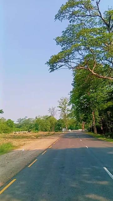 @Bhagi Ram Tharu626