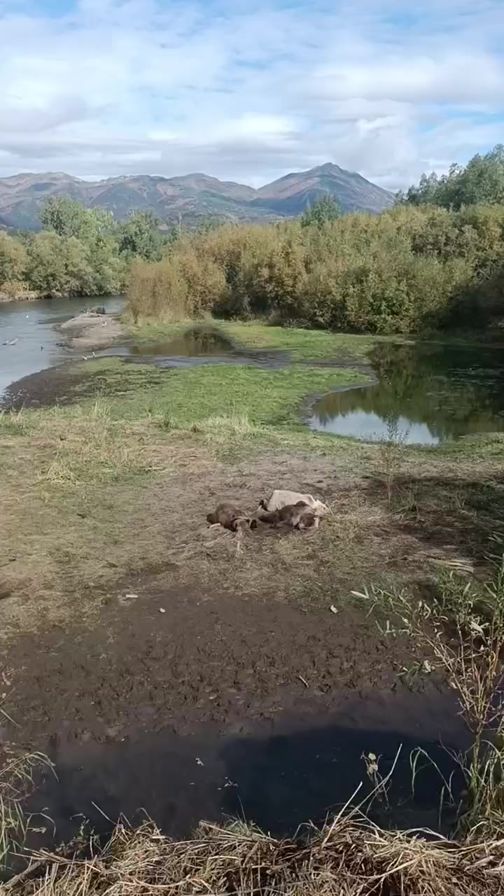 @Не повторять !!!