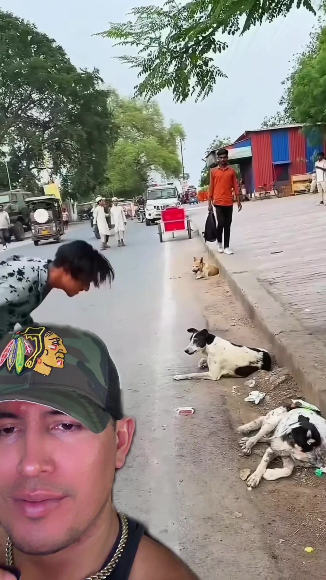 @🪶TheN8tiveDogfather🐾