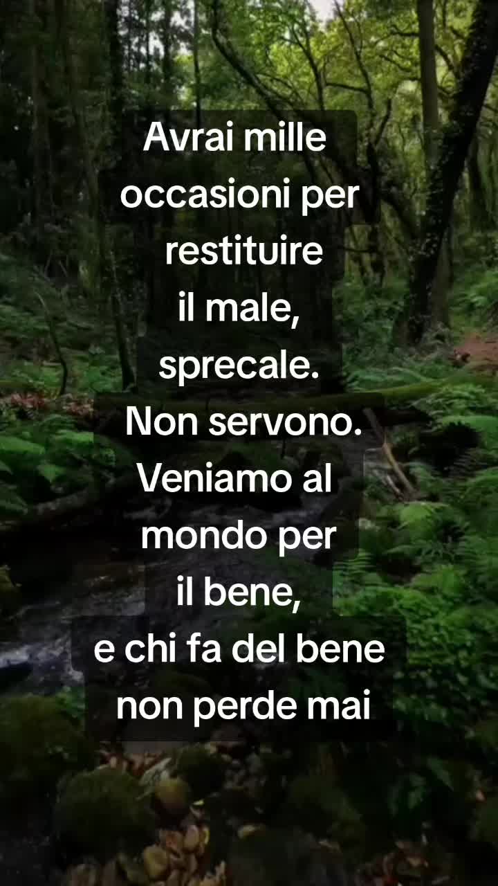 @💫FRASI&CITAZIONI💫