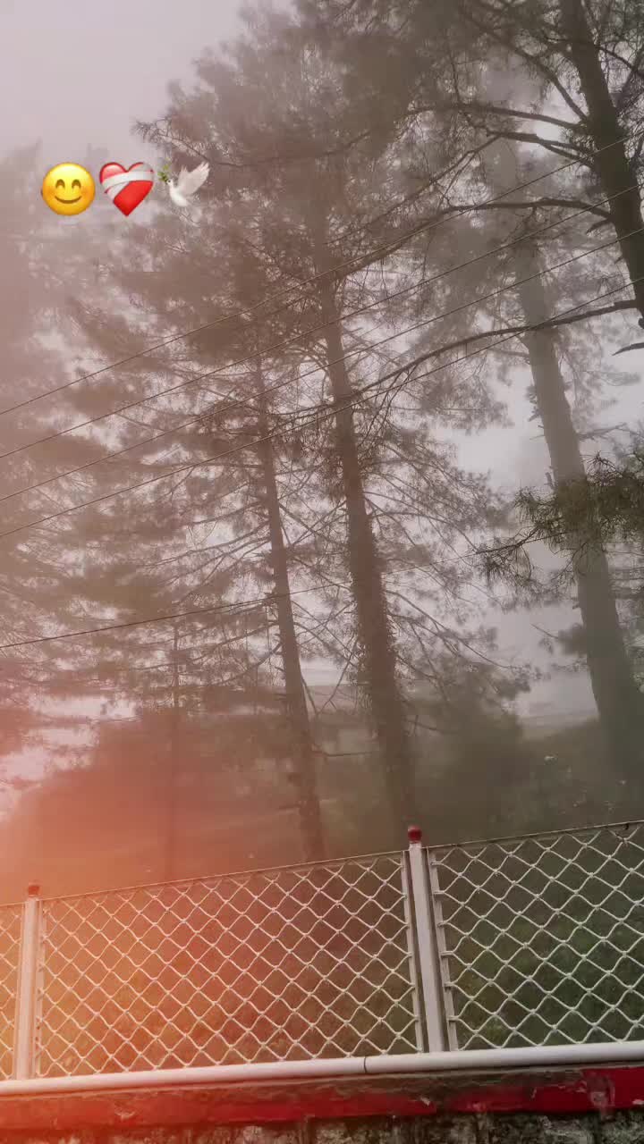 @Mahar shahzaib😍
