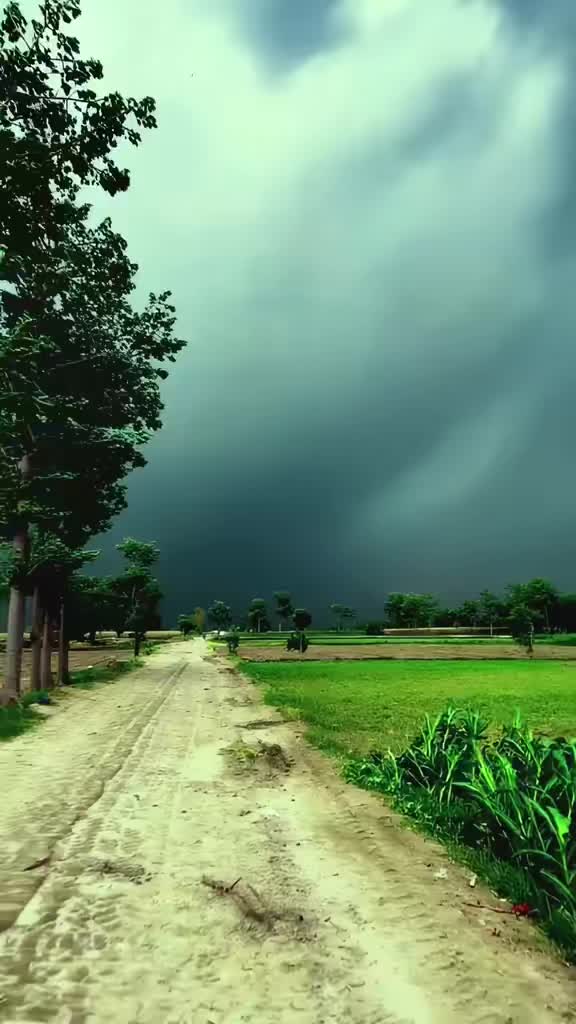 @Nadia491