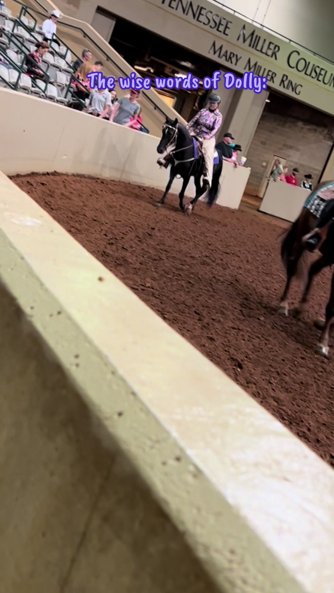 @EightyDollarStables