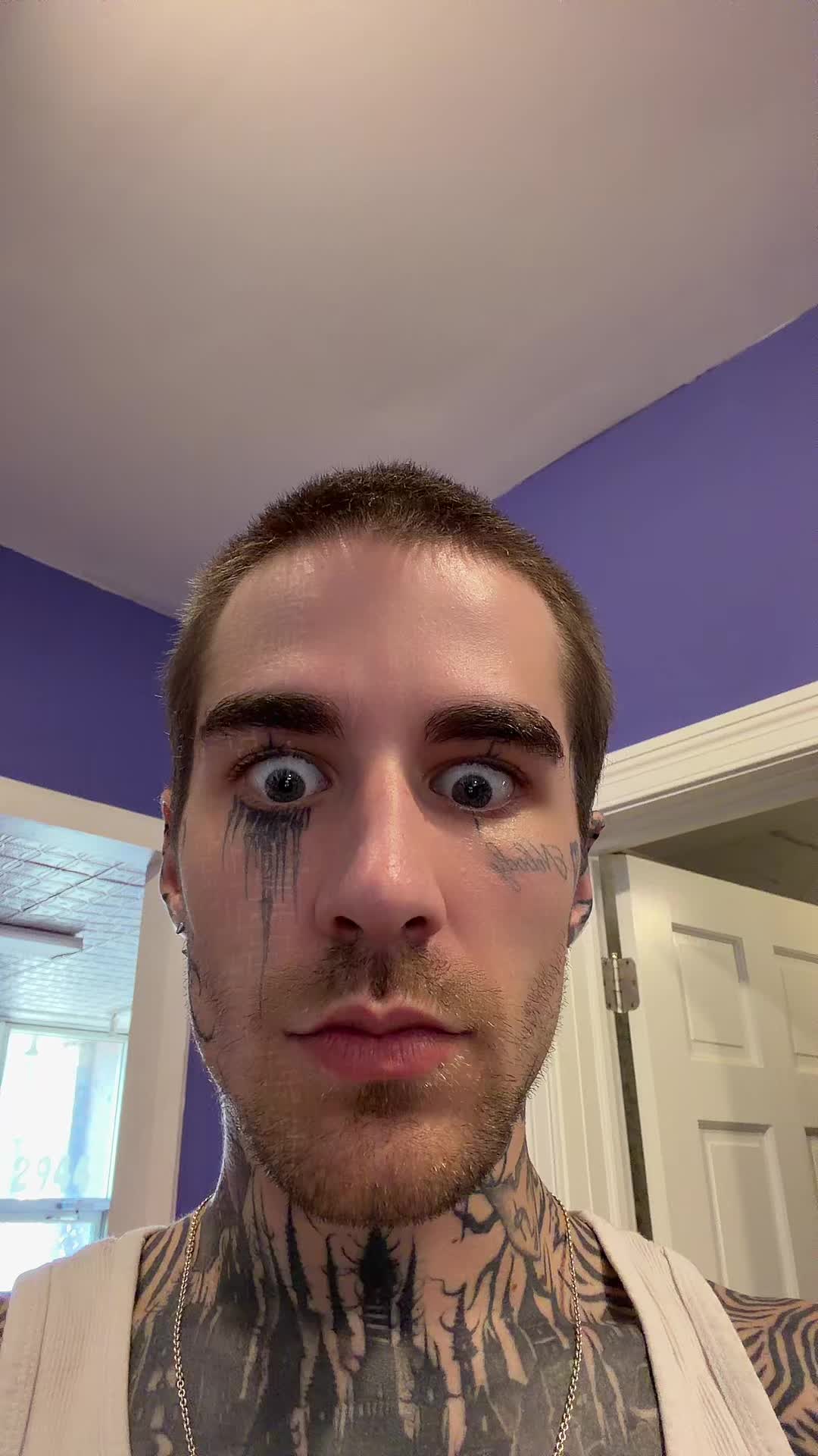@Fleshv3hicle