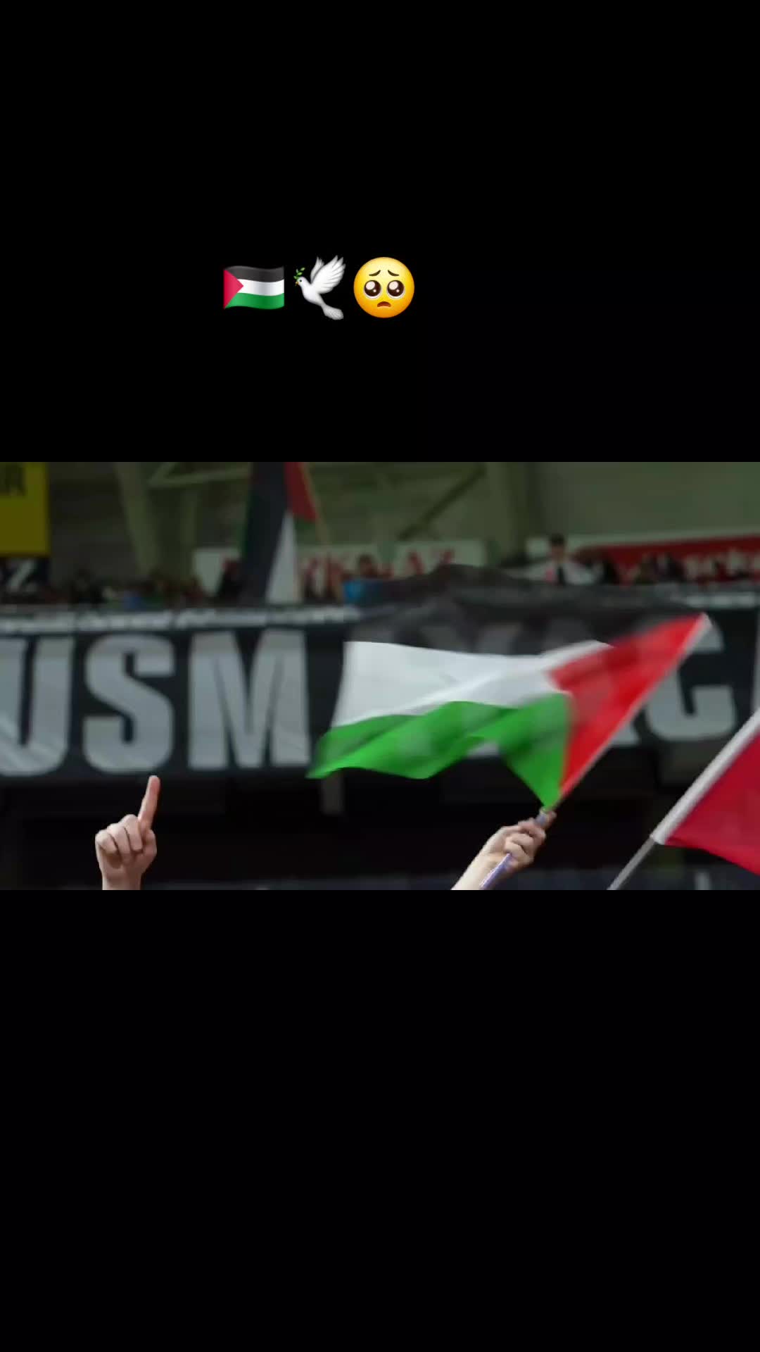 @Aylin🧕❤️wolloyewa🇵🇸🇹🇷🇪🇹