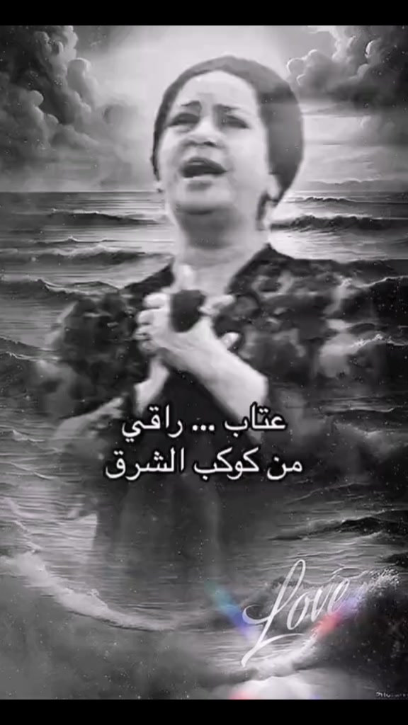 @Hoda Hany