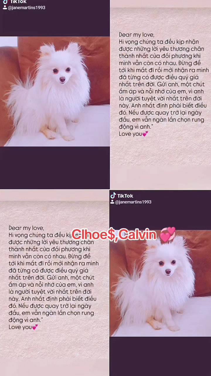 @janemartins1993tiktok.com/@jan