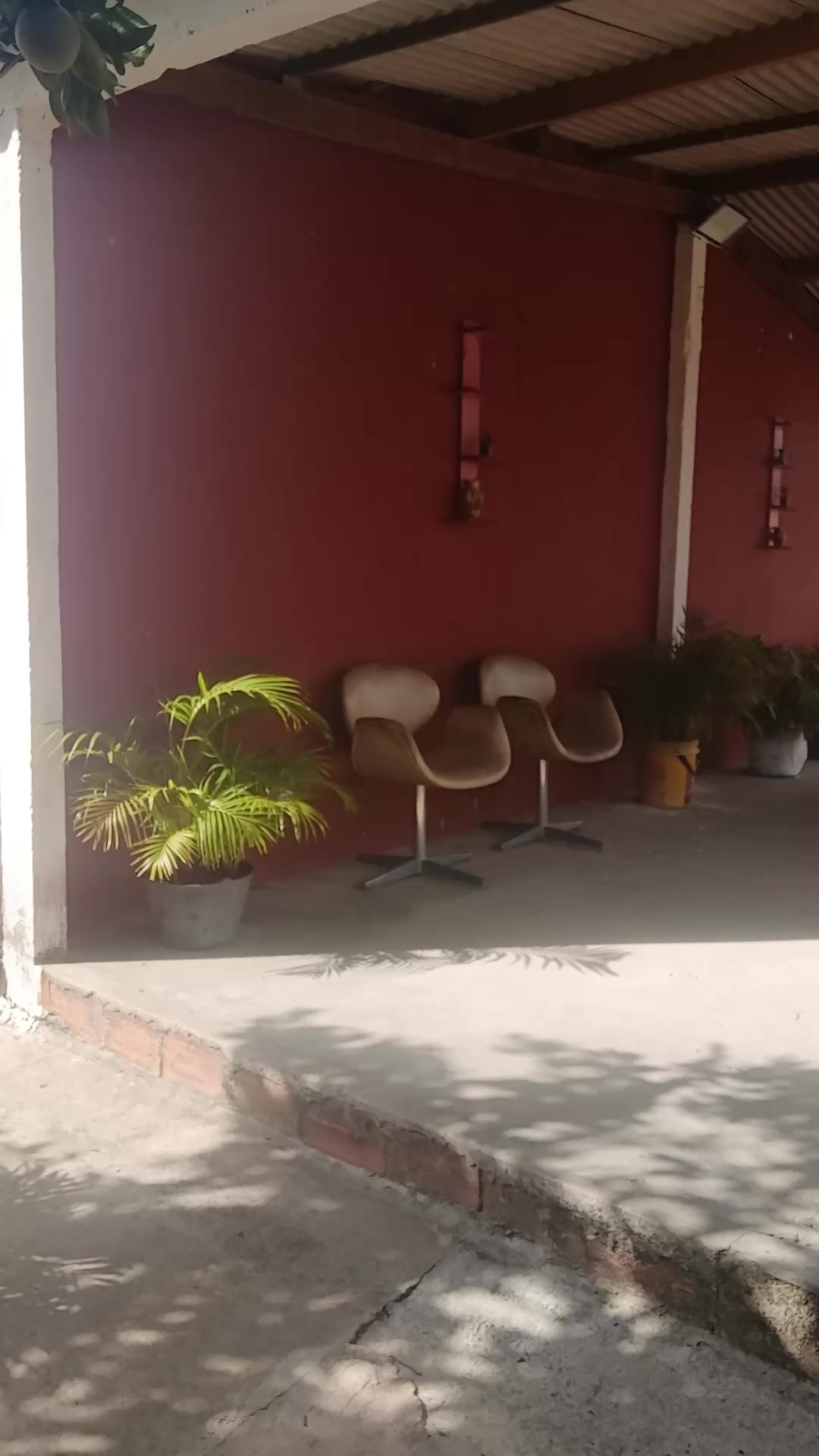 @famozinha do tiktok