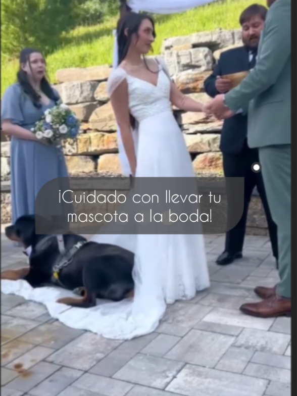 @DulceImpacto