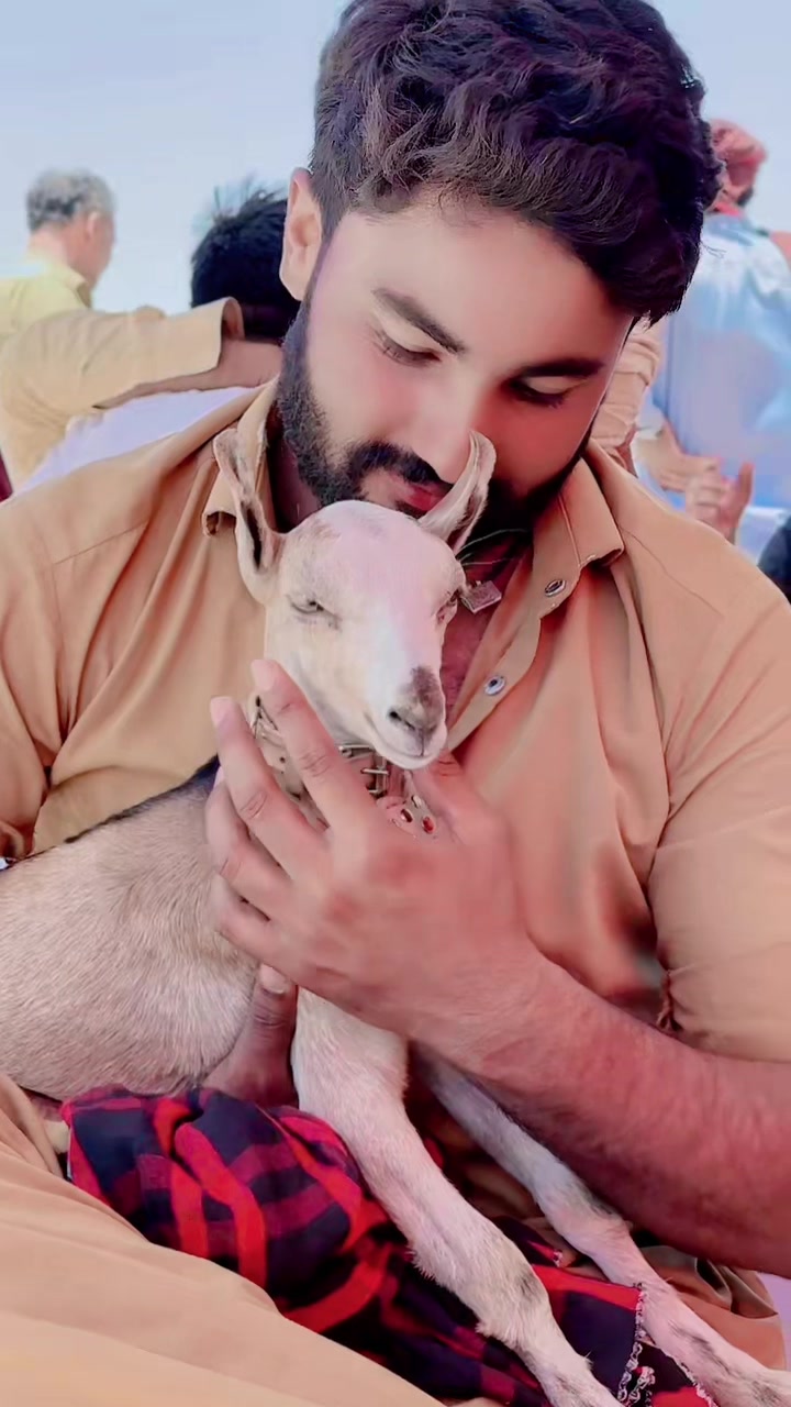 @Raza cattle farm 786