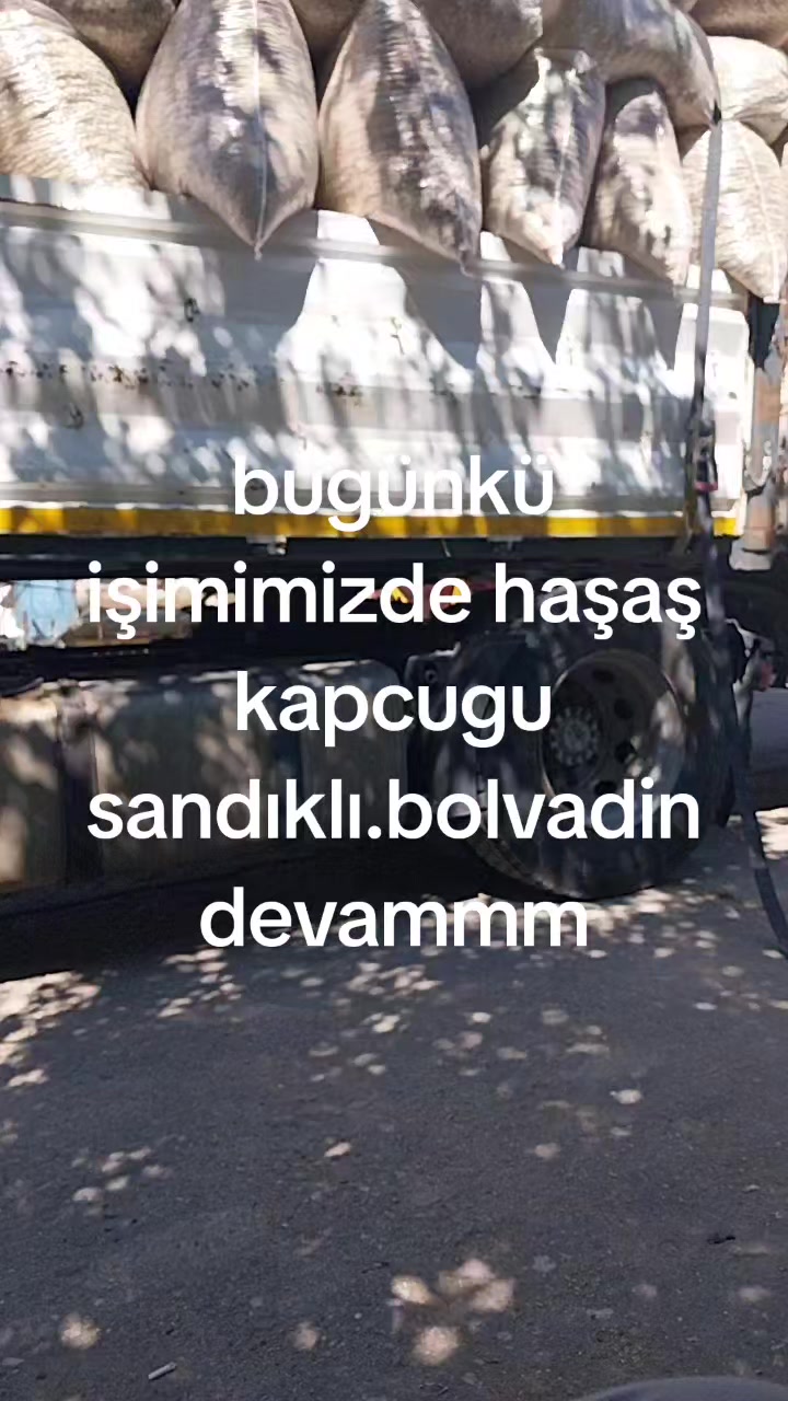 @Veysel Öztezcan