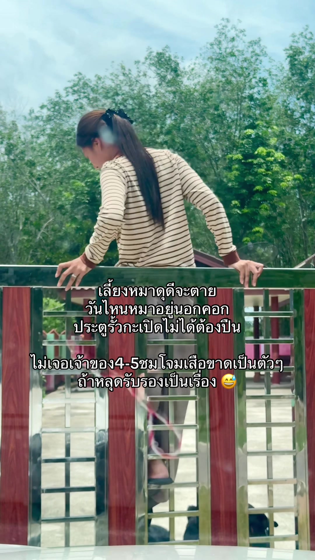 @แฟน วิรัญยา