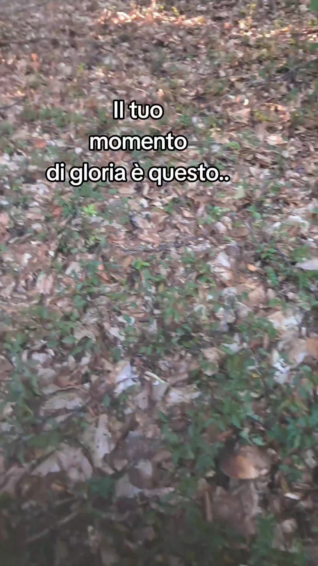 @Liana 63