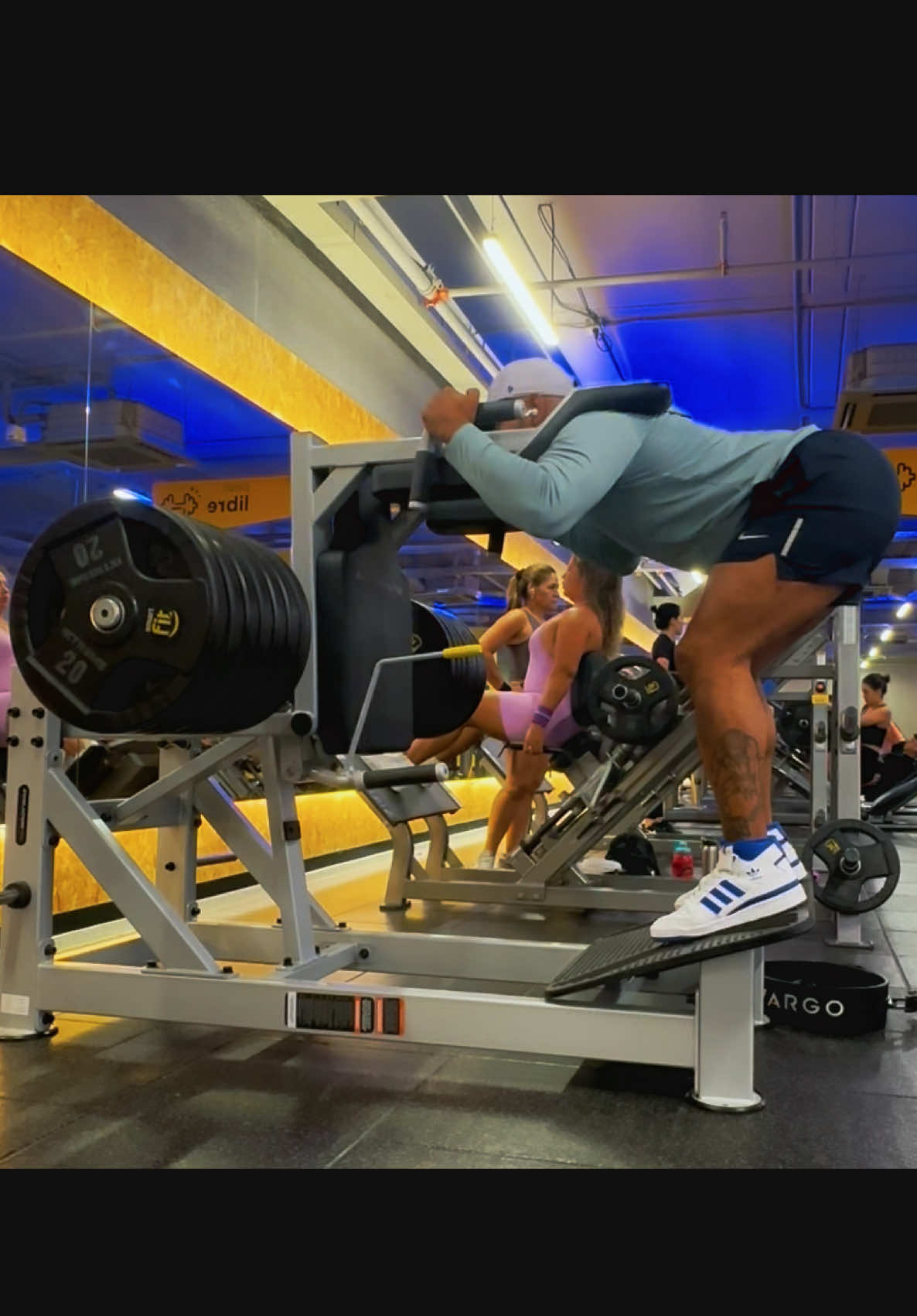 @Harry_Fit