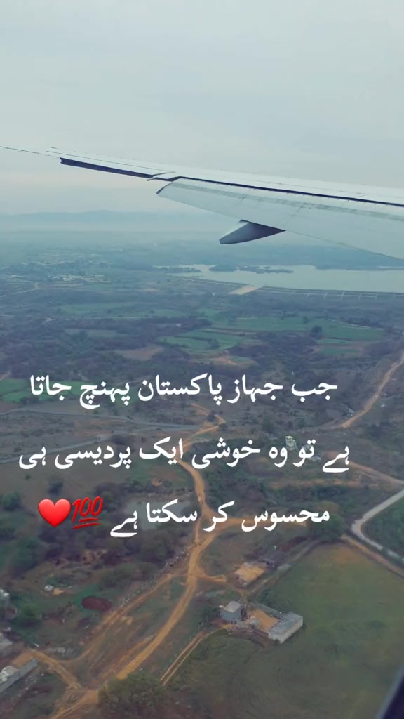 @Mian Sahb 🌹