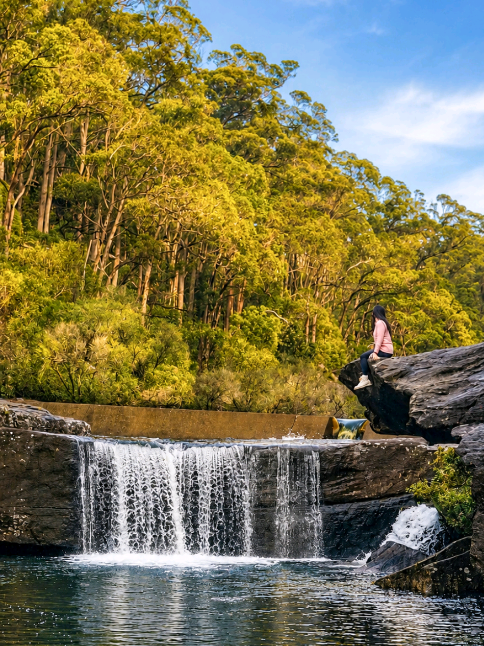 @Nature Love Australia 🌴