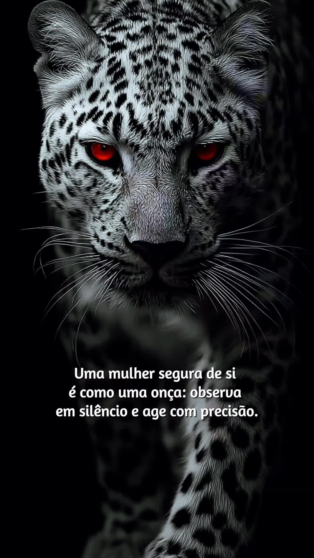 @marli rocha almeida