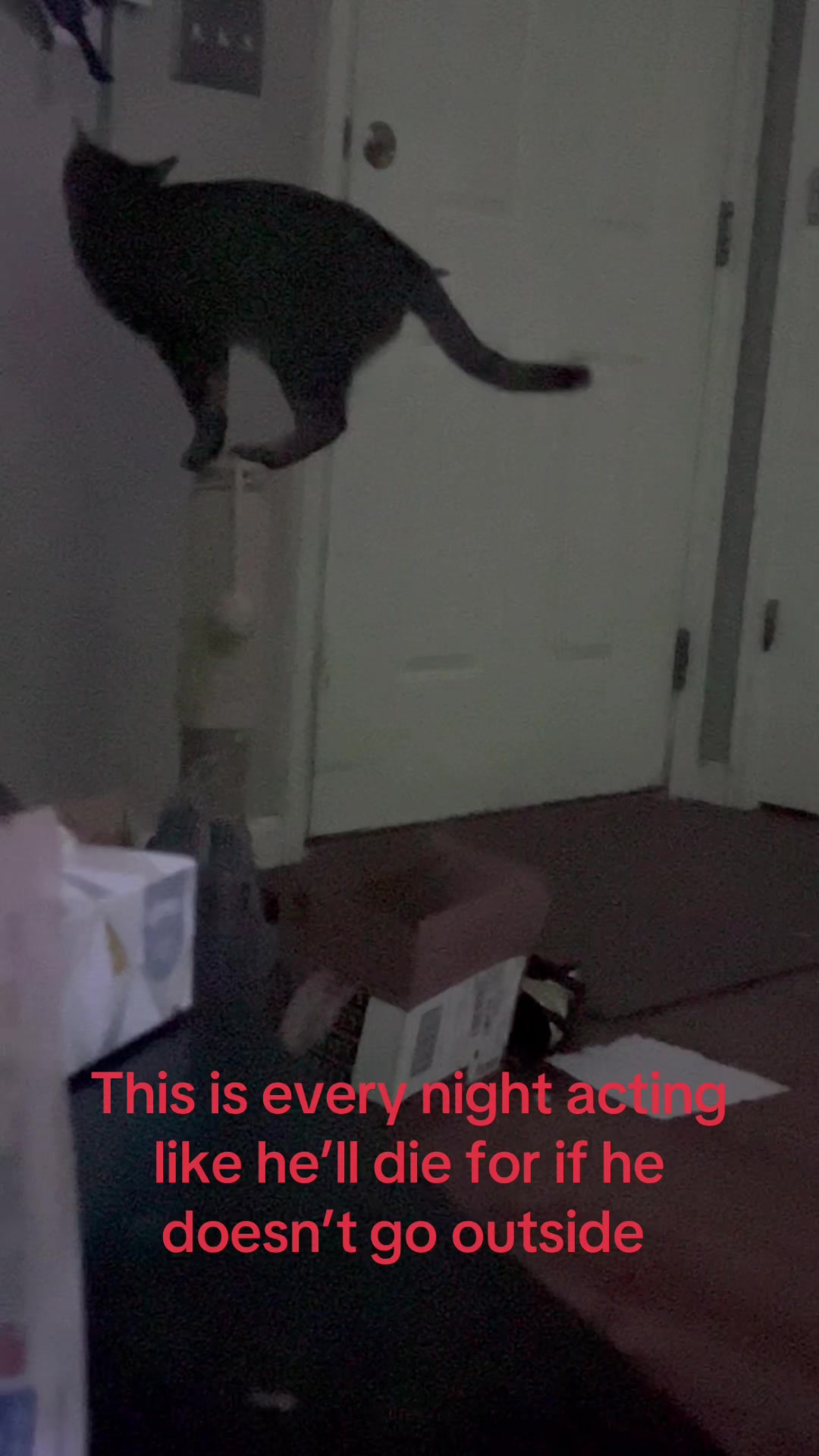 @FM