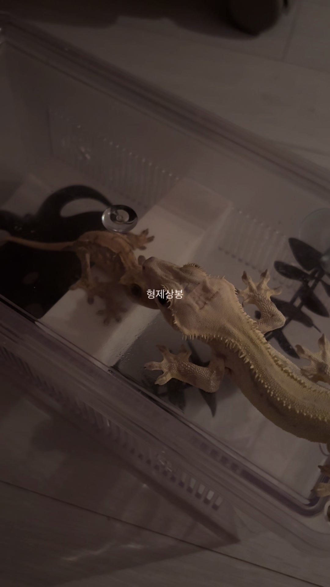 @• 온도