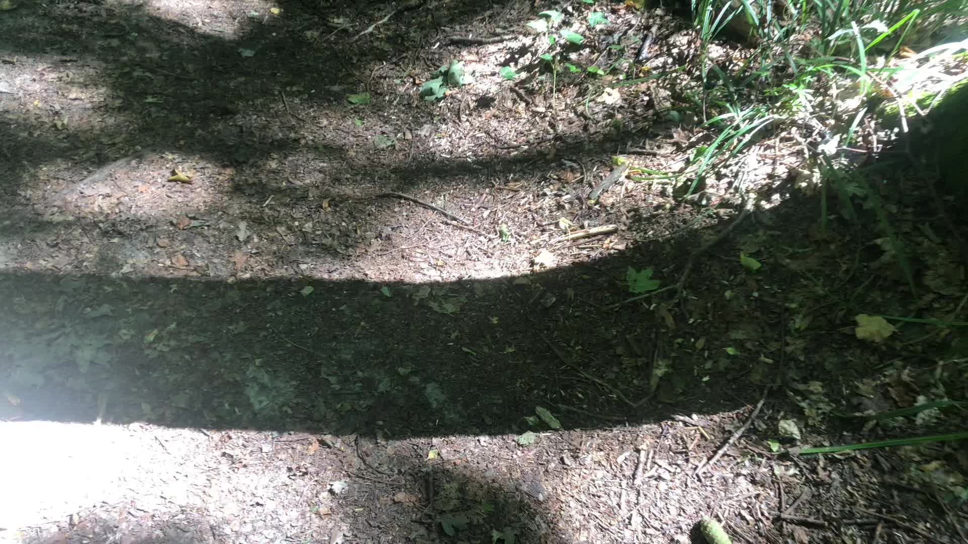 @нахуя я хуй сасал хуй сасал