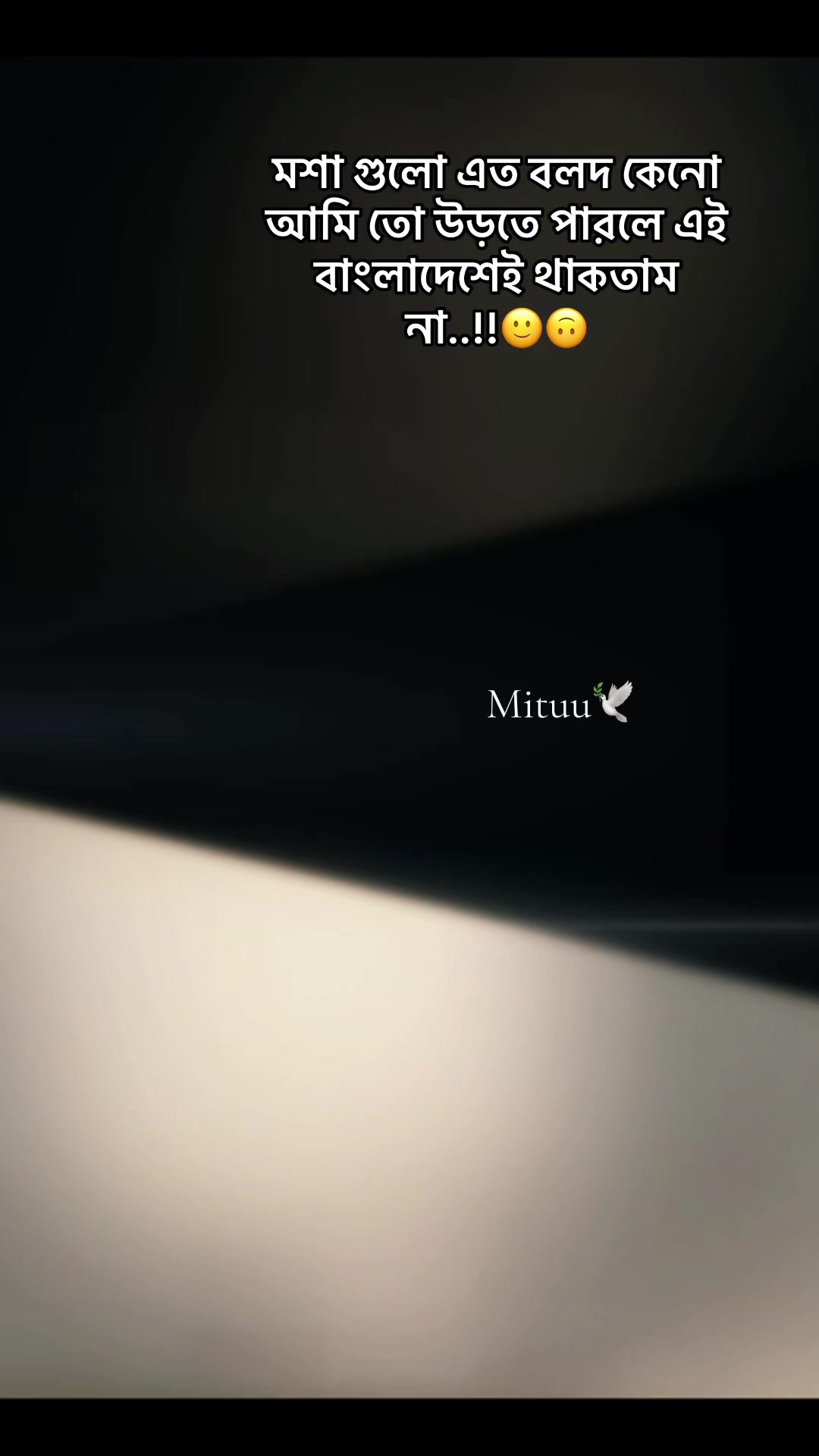 @Mituuđī¸đ