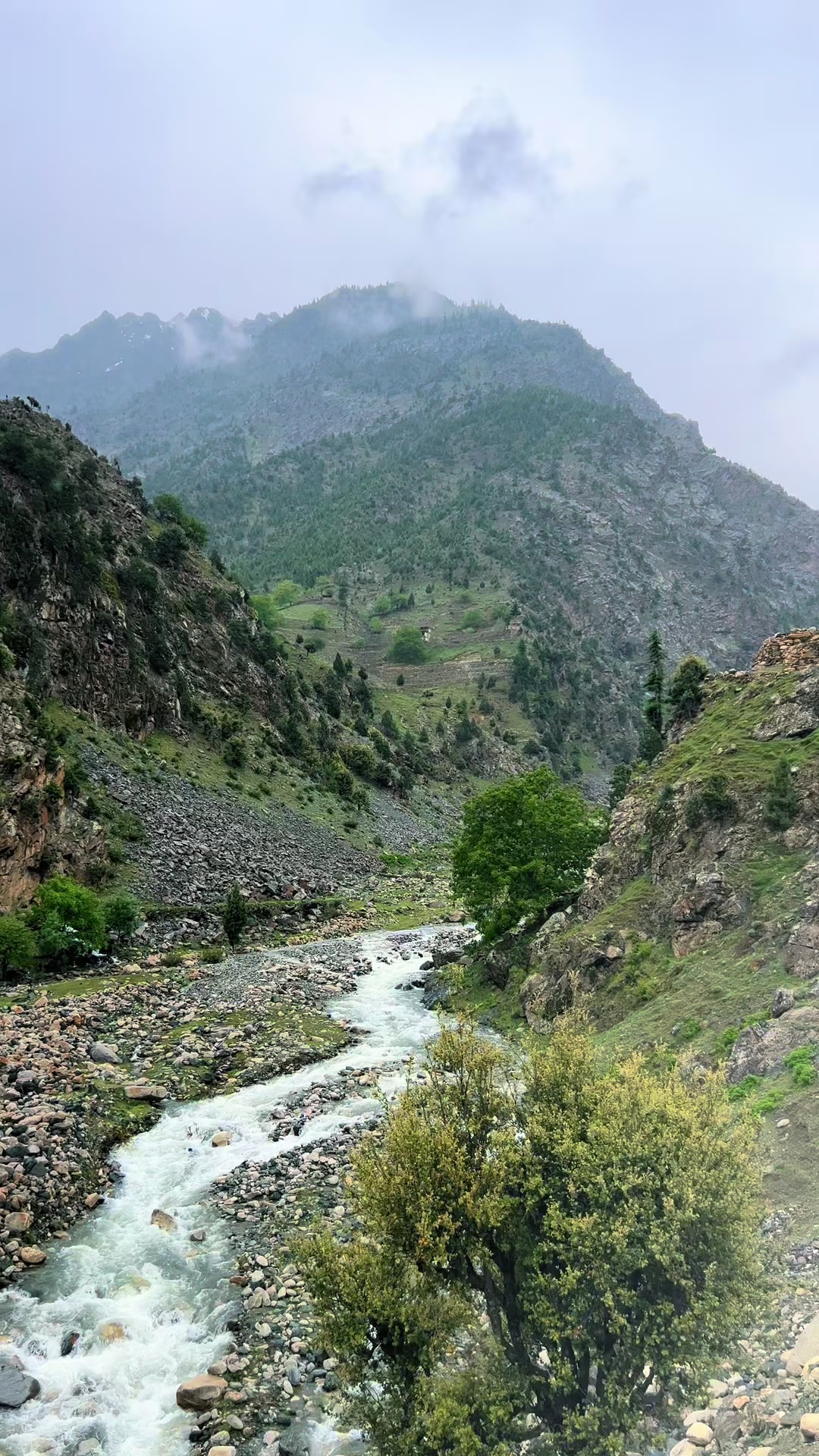 @🫀✨مادروطن بلوچستان✨🫶