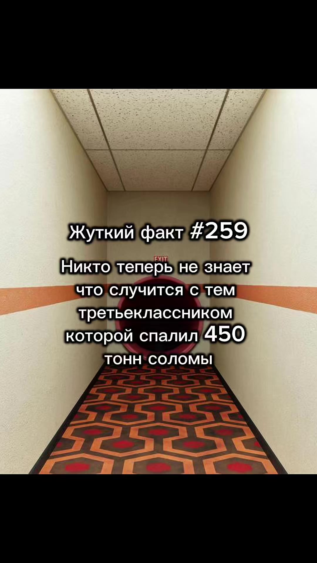 @darkwhispers