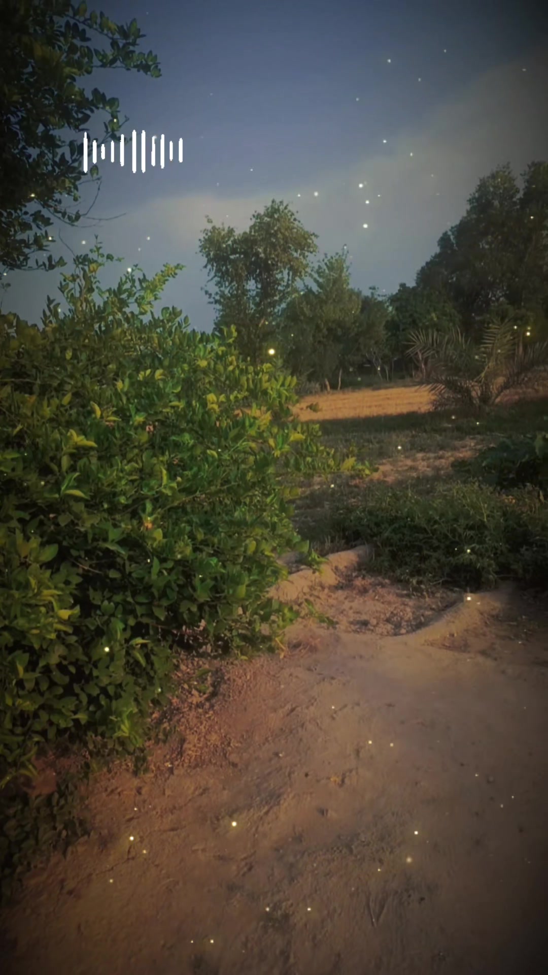 @Asif Irshad 🥰
