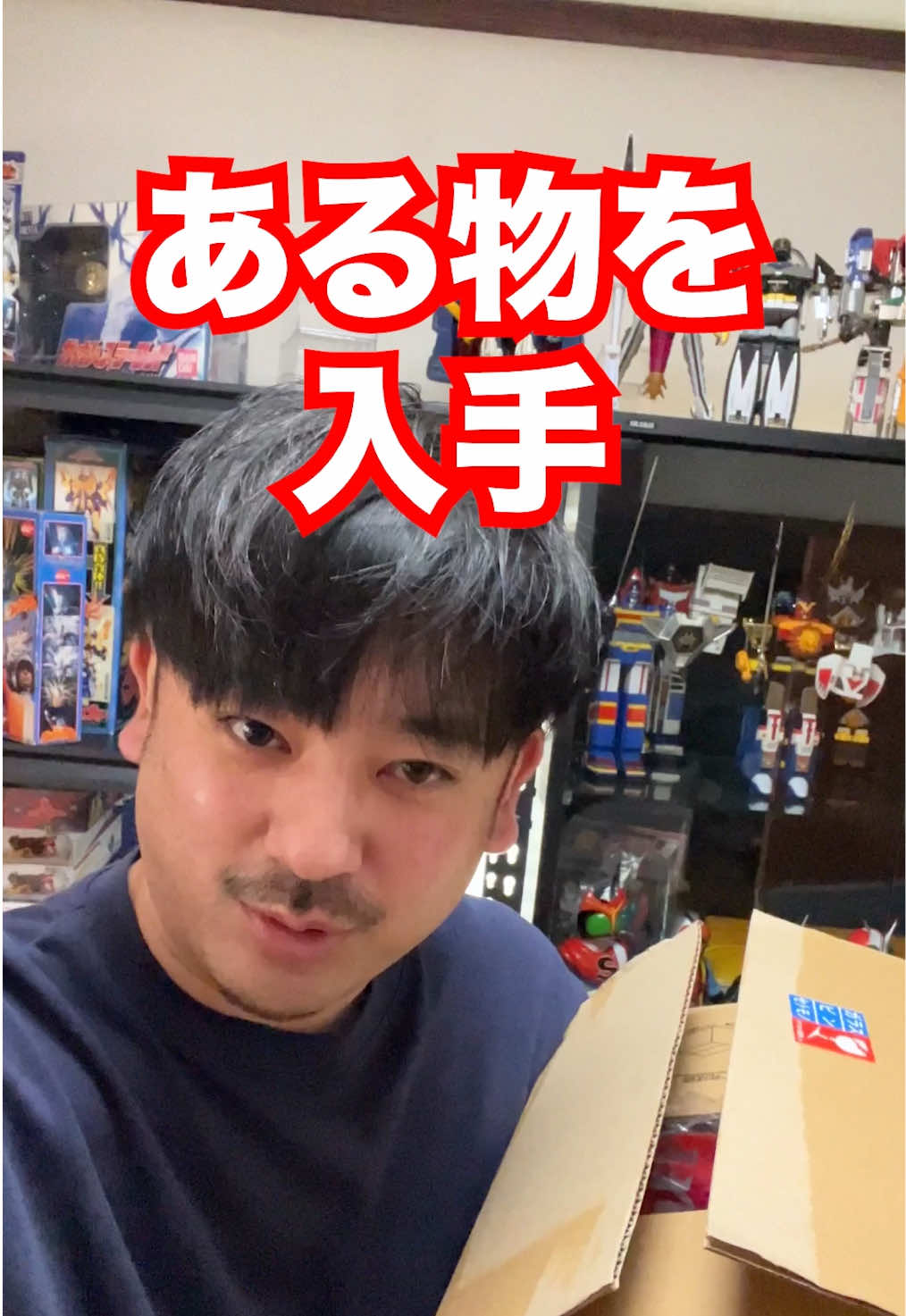 @たすあに【特撮おもちゃ収集家】