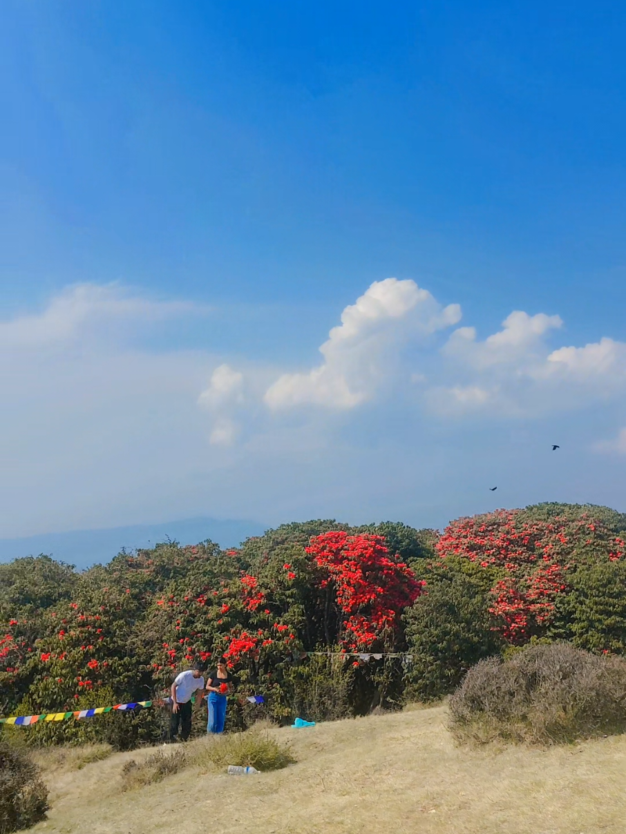 @Sunita Tamang Syangbo Gole