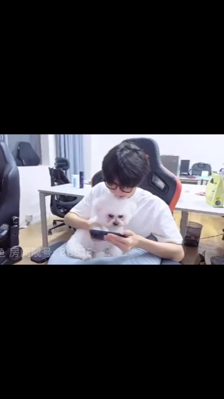 @twotao2