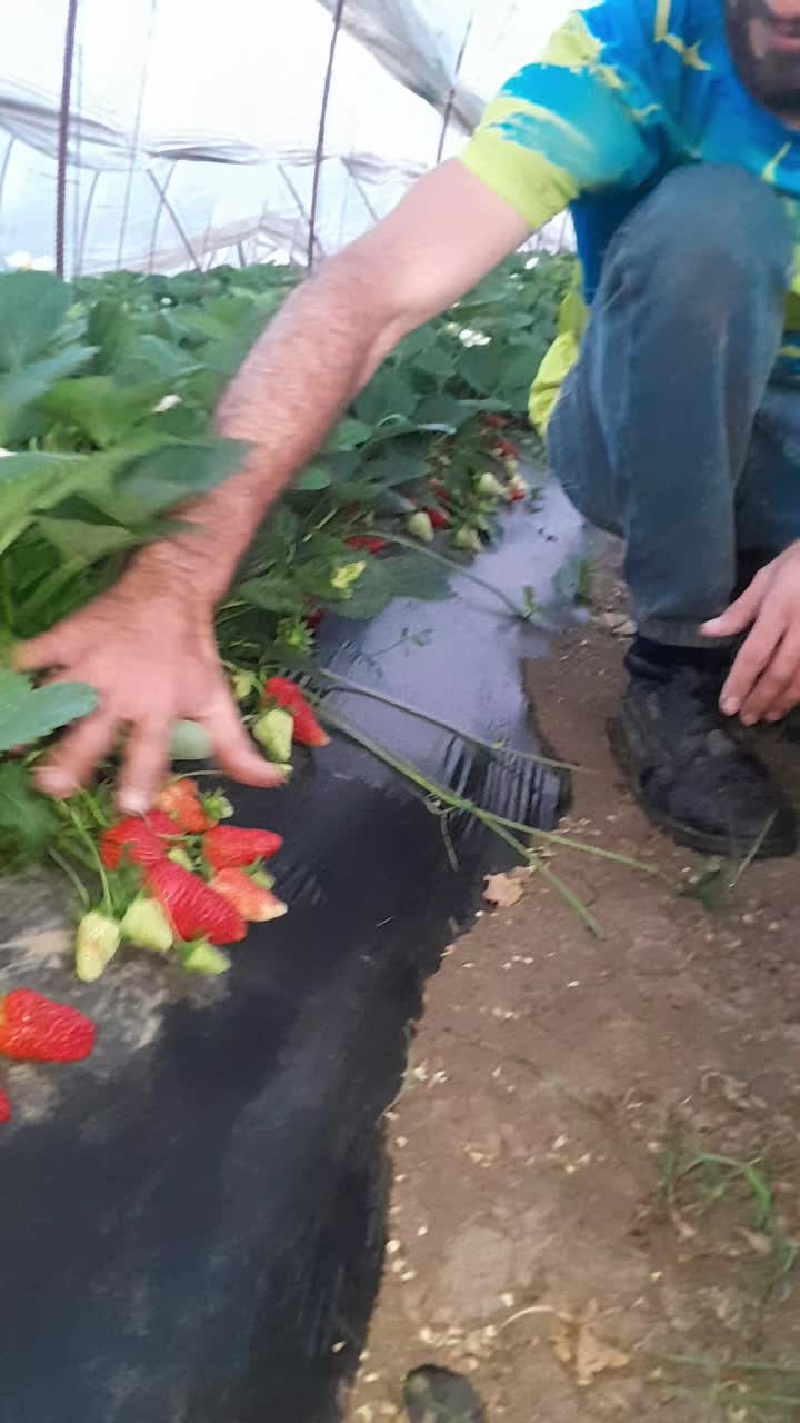 @CƏNUB_CƏLİLABAD