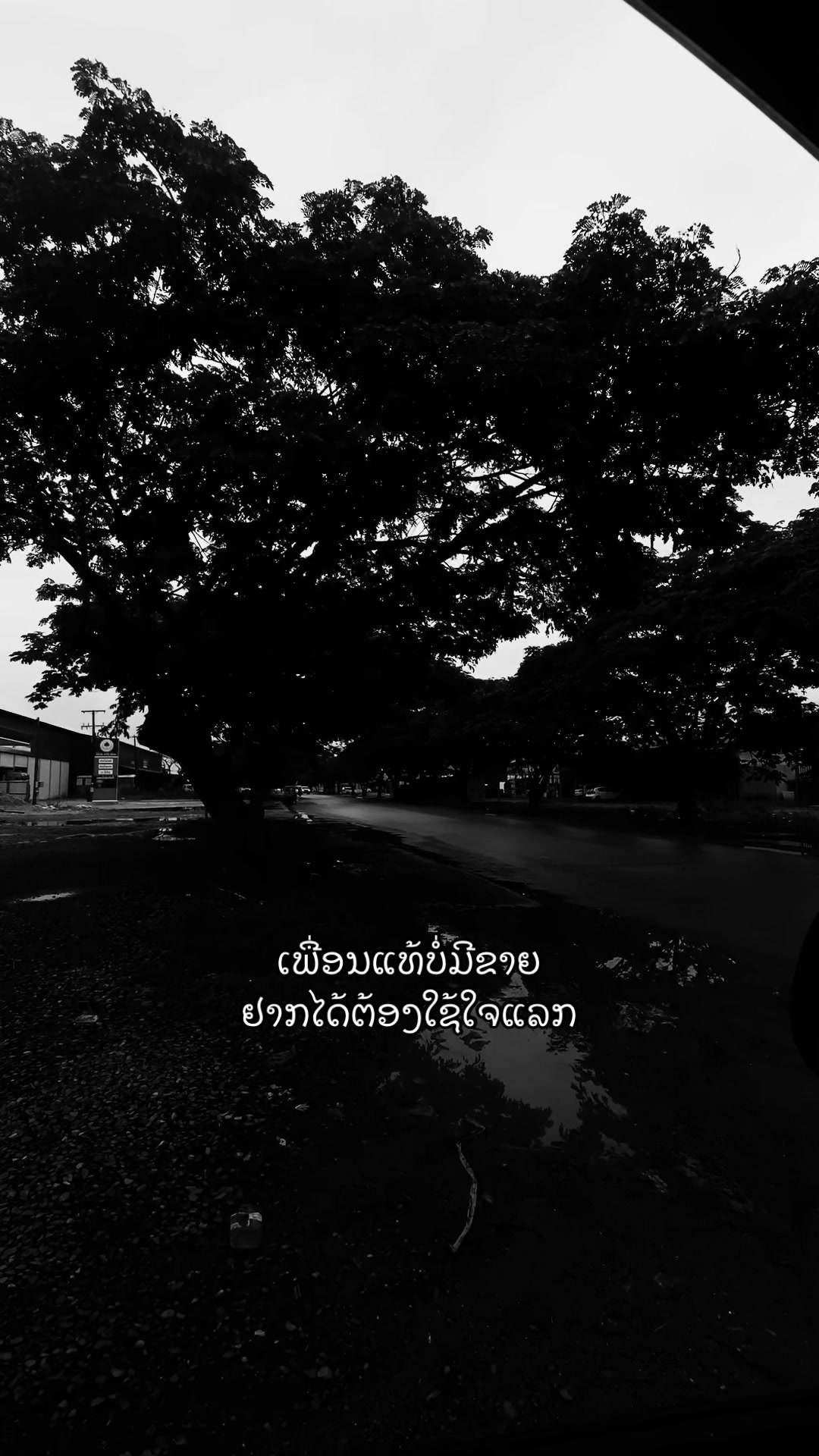 @ສະຕໍຣີ່___ຄວາມຮູ້ສຶກヅ🖤(50k)