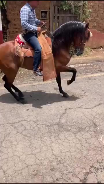 @ðððð ð¬ððððð
ð